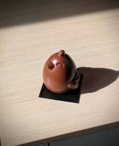 Poulette chocolat lait chocolaterie pâtisserie Annecy savoie saison